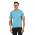 Premium Cotton T Shirt-Half Sleeve-Round Neck-Norse Blue